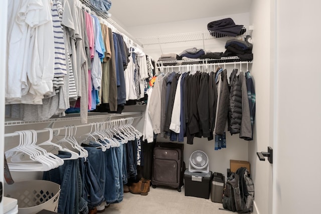 spacious closet with carpet