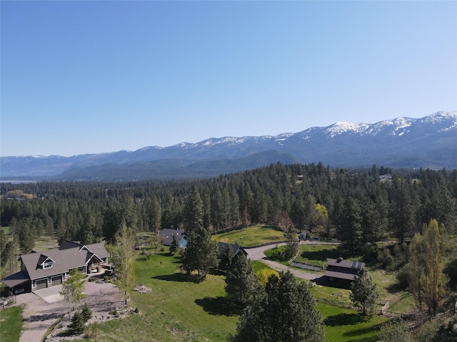 34426 Ridge Rd, Polson, MT 59860 - view of mountain backdrop with a heavily wooded area