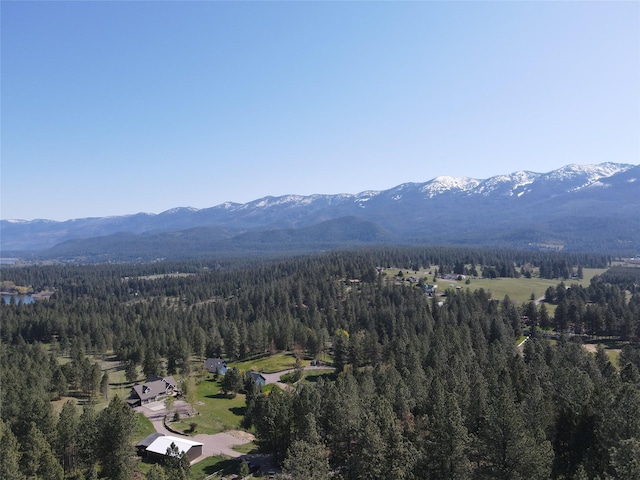 34426 Ridge Rd, Polson, MT 59860 - view of mountain background featuring a heavily wooded area