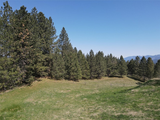 34426 Ridge Rd, Polson, MT 59860 - view of grassy yard featuring a mountain view and a view of trees