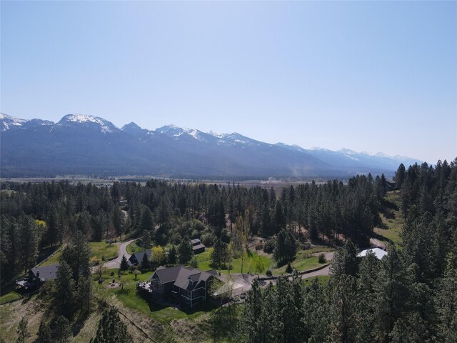 34426 Ridge Rd, Polson, MT 59860 - view of mountain backdrop with a forest