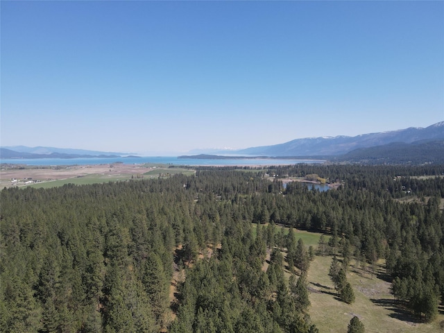 34426 Ridge Rd, Polson, MT 59860 - view of mountain background with a forest