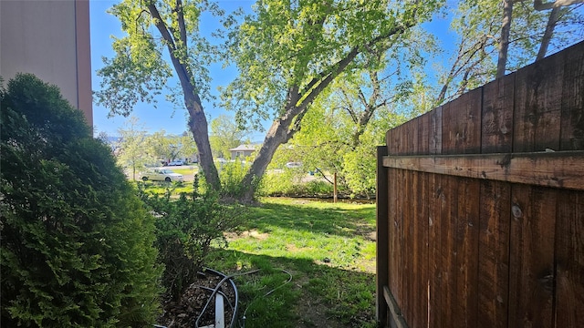 view of yard