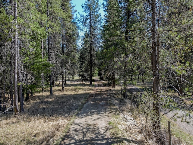 view of landscape featuring a forest view