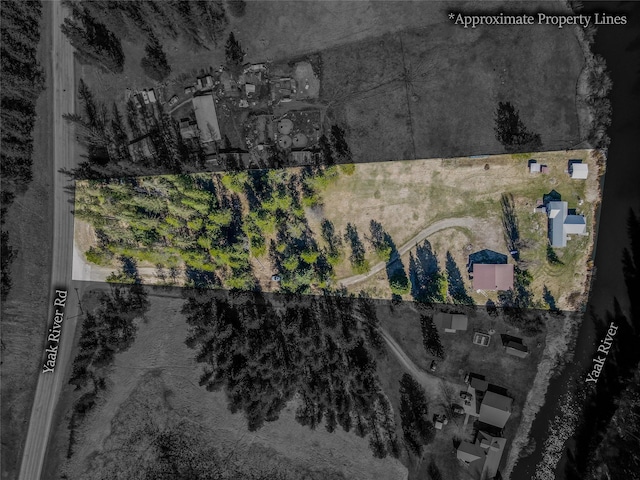 drone / aerial view