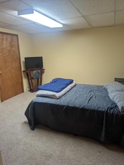 412 Raymond St, Helena, MT 59601 - bedroom with carpet flooring and a drop ceiling