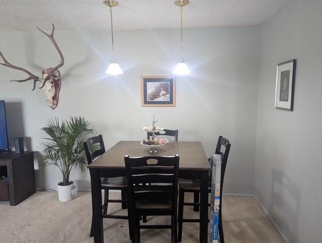 412 Raymond St, Helena, MT 59601 - dining space with carpet flooring, a textured ceiling, and baseboards
