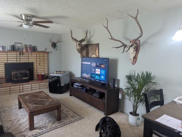 412 Raymond St, Helena, MT 59601 - carpeted living room with a ceiling fan and a textured ceiling