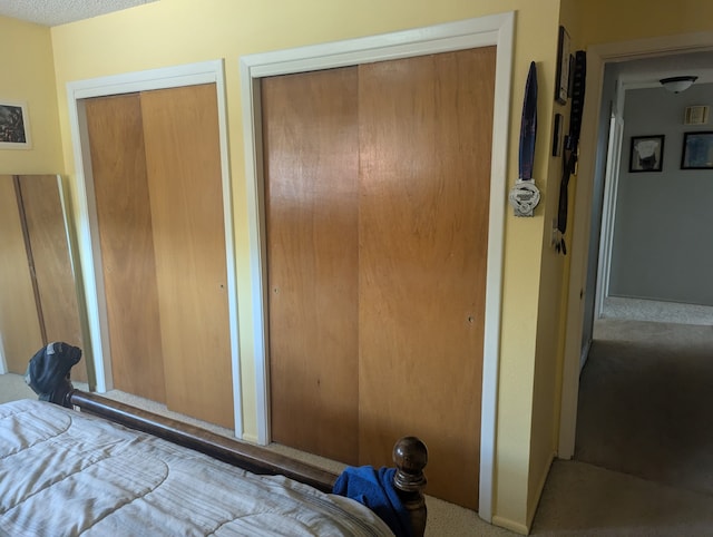 412 Raymond St, Helena, MT 59601 - carpeted bedroom with two closets