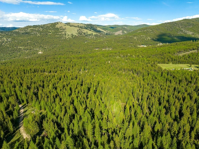 LOT6A Wild Bill Rd, Kila, MT 59920