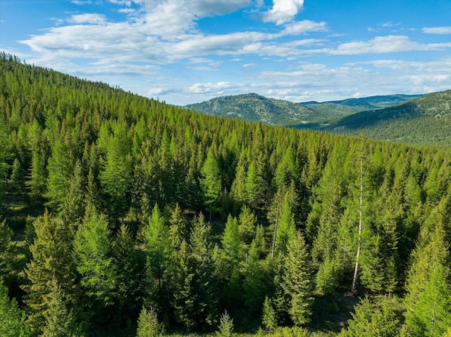 LOT6A Wild Bill Rd, Kila, MT 59920