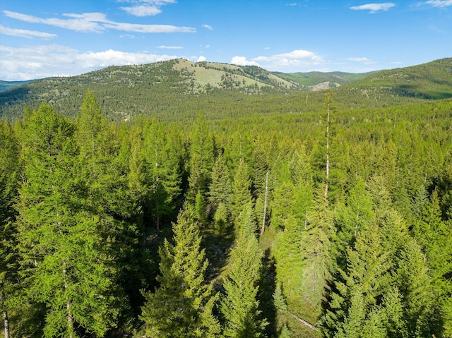 LOT6A Wild Bill Rd, Kila, MT 59920