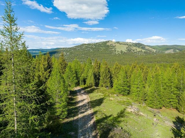LOT6A Wild Bill Rd, Kila, MT 59920