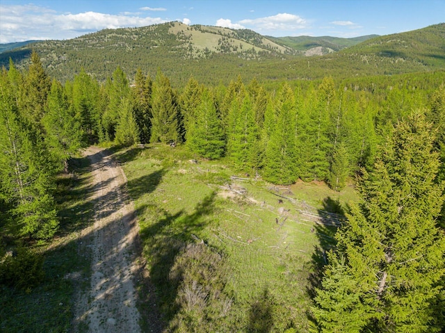 LOT6A Wild Bill Rd, Kila, MT 59920