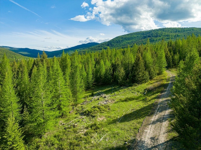 LOT6A Wild Bill Rd, Kila, MT 59920
