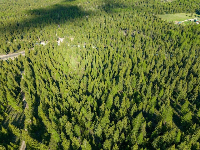 LOT6A Wild Bill Rd, Kila, MT 59920