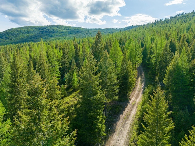LOT6A Wild Bill Rd, Kila, MT 59920