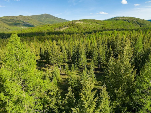 LOT6A Wild Bill Rd, Kila, MT 59920
