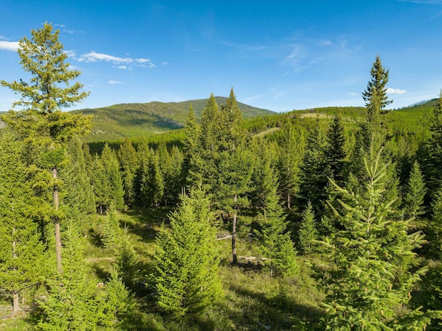 LOT6A Wild Bill Rd, Kila, MT 59920