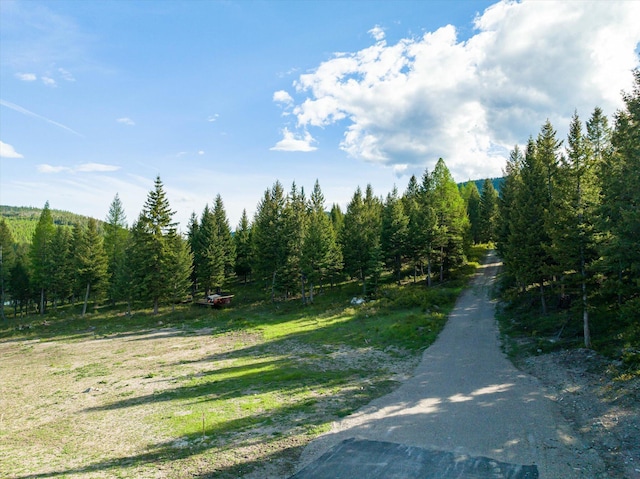 LOT6A Wild Bill Rd, Kila, MT 59920
