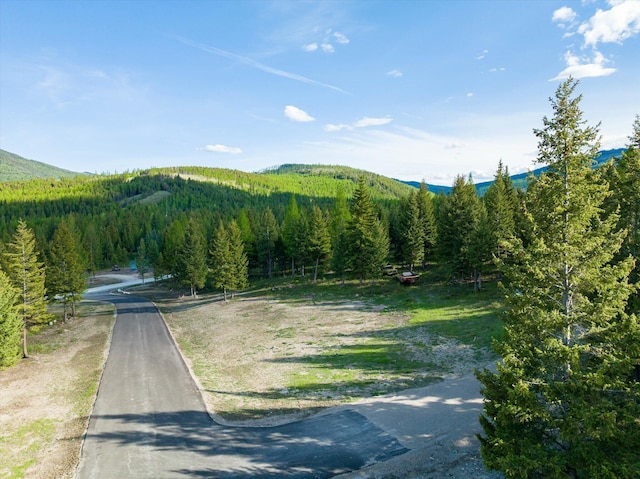 LOT6A Wild Bill Rd, Kila, MT 59920