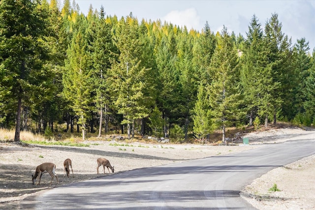 LOT6A Wild Bill Rd, Kila, MT 59920