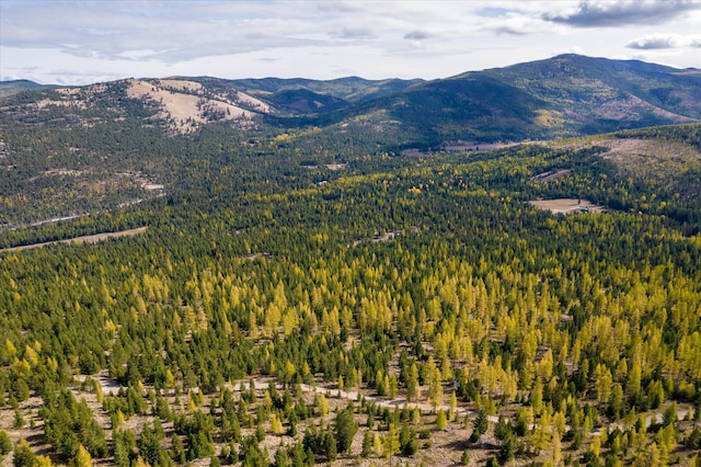 LOT6A Wild Bill Rd, Kila, MT 59920