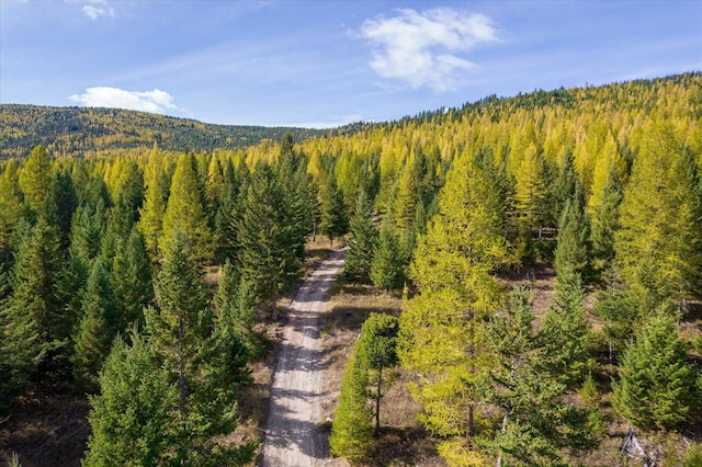 LOT6A Wild Bill Rd, Kila, MT 59920