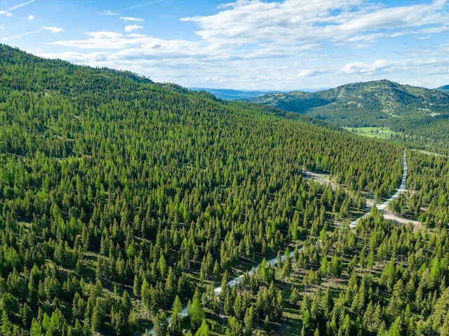 LOT6A Wild Bill Rd, Kila, MT 59920