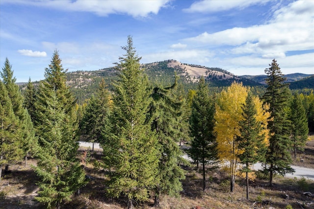 LOT6A Wild Bill Rd, Kila, MT 59920