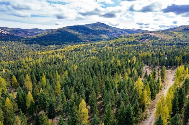 LOT6A Wild Bill Rd, Kila, MT 59920
