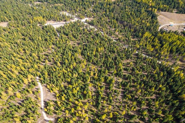 LOT6A Wild Bill Rd, Kila, MT 59920