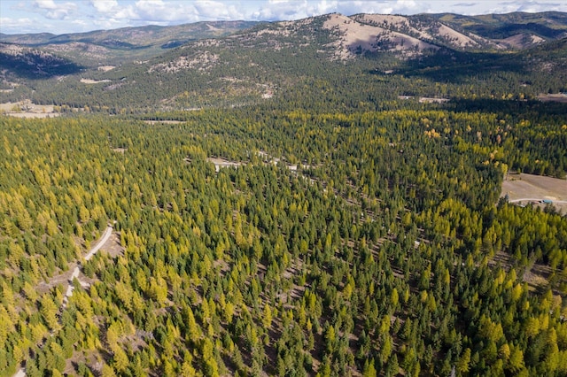 LOT6A Wild Bill Rd, Kila, MT 59920