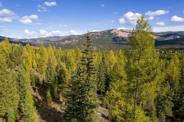 LOT6A Wild Bill Rd, Kila, MT 59920