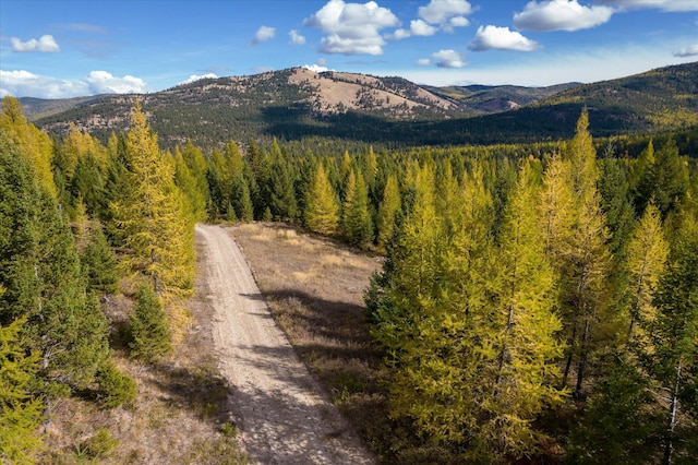LOT6A Wild Bill Rd, Kila, MT 59920