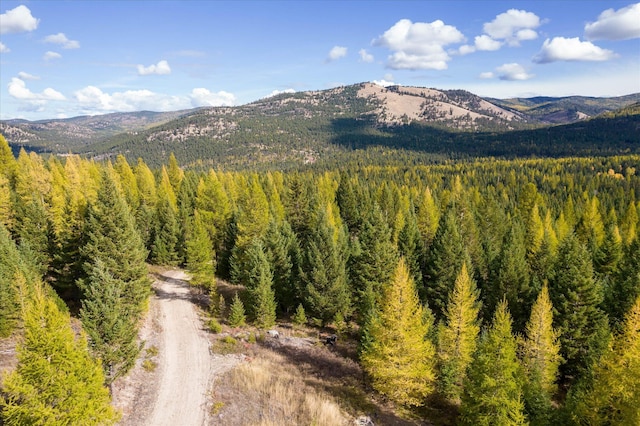 LOT6A Wild Bill Rd, Kila, MT 59920