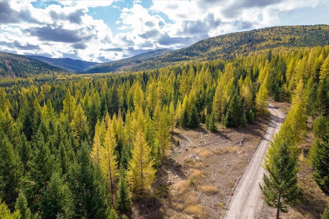 LOT6A Wild Bill Rd, Kila, MT 59920