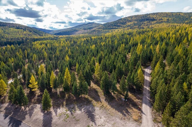LOT6A Wild Bill Rd, Kila, MT 59920