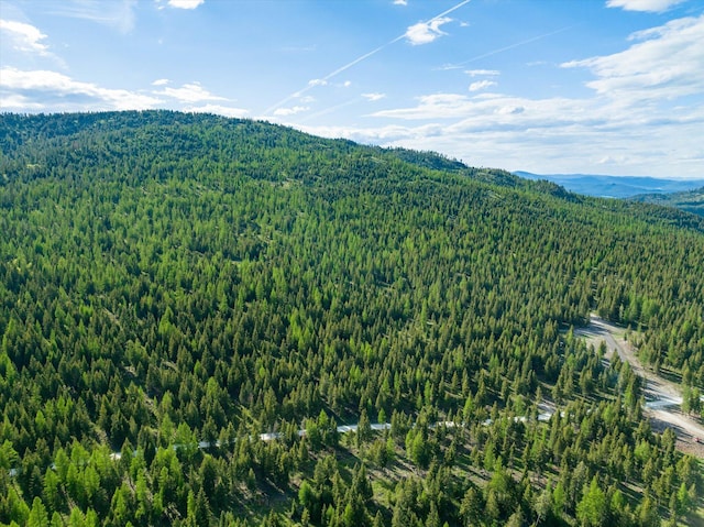 LOT6A Wild Bill Rd, Kila, MT 59920