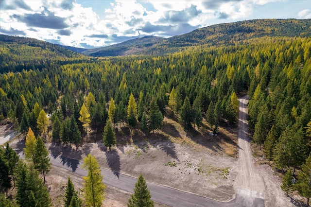 LOT6A Wild Bill Rd, Kila, MT 59920