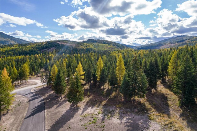 LOT6A Wild Bill Rd, Kila, MT 59920