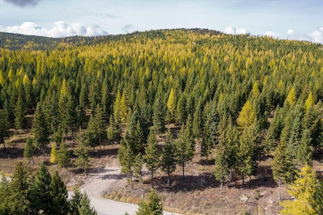 LOT6A Wild Bill Rd, Kila, MT 59920