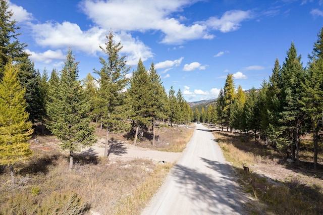 LOT6A Wild Bill Rd, Kila, MT 59920