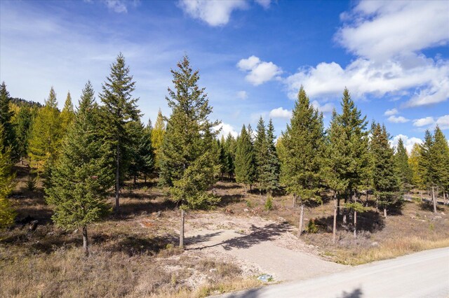 LOT6A Wild Bill Rd, Kila, MT 59920