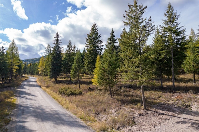 LOT6A Wild Bill Rd, Kila, MT 59920