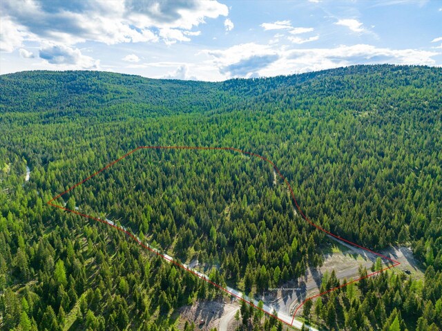 LOT6A Wild Bill Rd, Kila, MT 59920