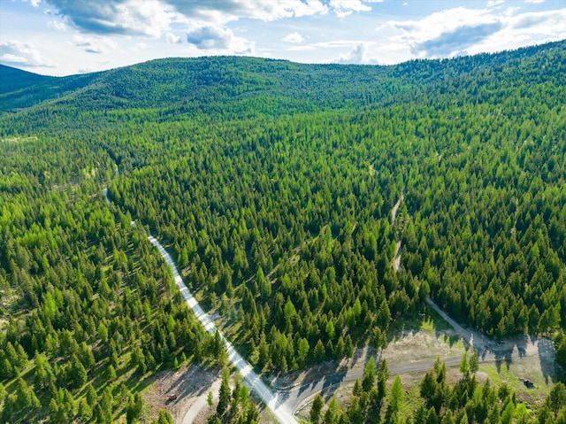 LOT6A Wild Bill Rd, Kila, MT 59920