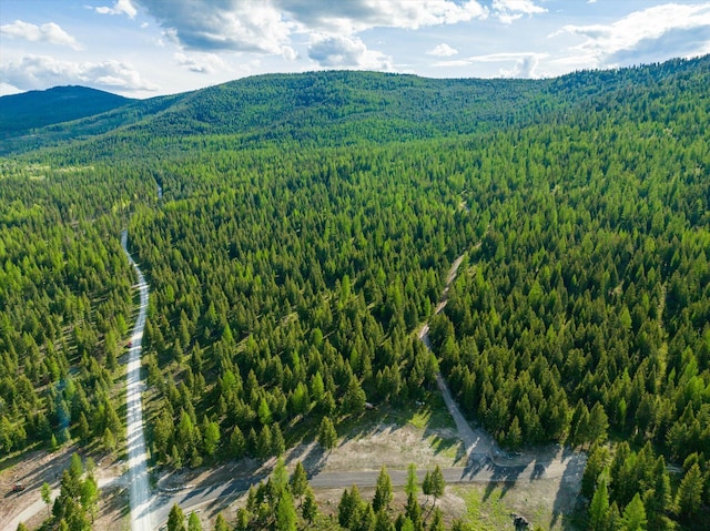 LOT6A Wild Bill Rd, Kila, MT 59920