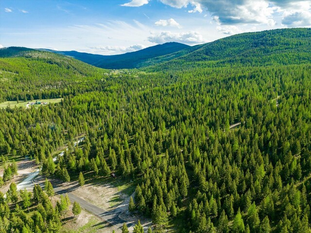 LOT6A Wild Bill Rd, Kila, MT 59920