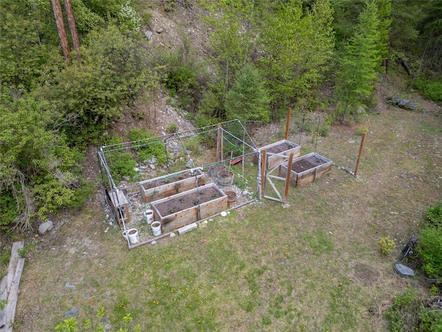 aerial view